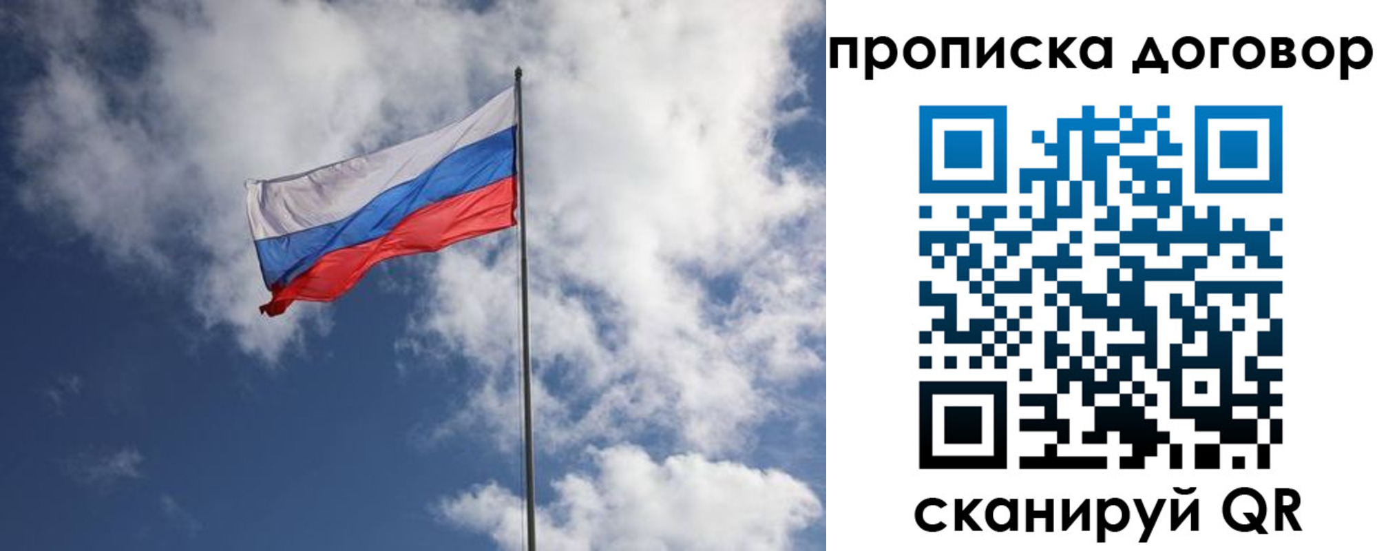 прописка поиск в Порхове